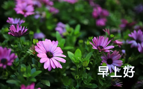 2018早安語錄正能量語句每天一句 微信早安語錄正能量滿滿1