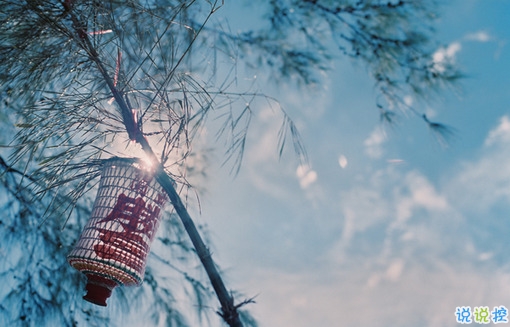 文字控偏愛的文藝小清新簡單的唯美句子帶圖片2