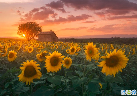 很扎心但很有道理的勵(lì)志說(shuō)說(shuō)帶圖片 激勵(lì)人心的很現(xiàn)實(shí)的一句話說(shuō)說(shuō)5