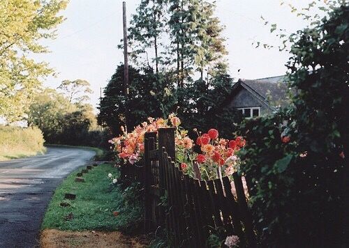 喜歡一個(gè)人的甜蜜小情話說說帶圖片 不愿再研墨執(zhí)筆因?yàn)樽掷镄虚g全是你8