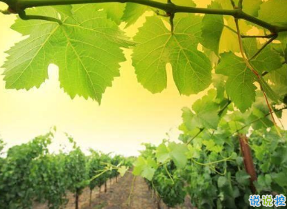 2019勵(lì)志早安問候語 最新早安心語一句話2