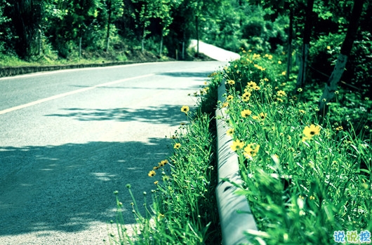 生活說(shuō)說(shuō)很現(xiàn)實(shí)的說(shuō)說(shuō)2018心情短語(yǔ) 穿透人心的說(shuō)說(shuō)簡(jiǎn)短一句話1