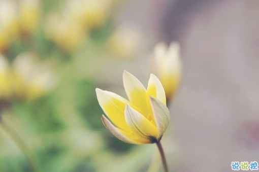 2019二月再見(jiàn)三月你好說(shuō)說(shuō)經(jīng)典勵(lì)志 三月你好微信早安句子2