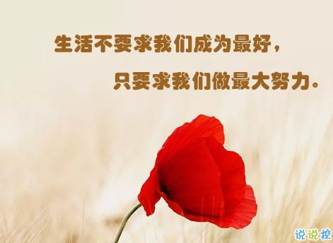 朋友圈微商經(jīng)典語(yǔ)錄加配圖2018 朋友圈微商勵(lì)志經(jīng)典語(yǔ)錄帶圖片4