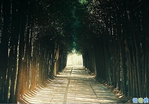 qq說說女生傷感心累了帶圖片 簡短一句話說說女生難過寂寞8