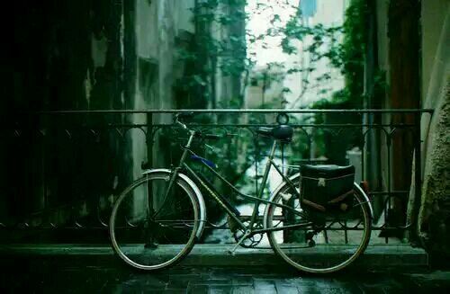 關(guān)于愛情的簡單有哲理的句子帶圖片 不要貪心找到那個(gè)對的人就第一時(shí)間決定吧13