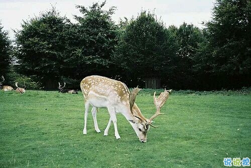 帶圖片的勵(lì)志說(shuō)說(shuō)人生感悟 別辜負(fù)了你的野心也別對(duì)不起你受的苦14