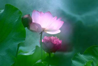 在夢(mèng)里也會(huì)潸然淚下的說(shuō)說(shuō)帶圖 如果時(shí)光倒流峩捫能抓得住什么10