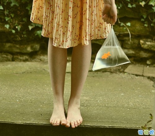 顧城詩(shī)一般的句子關(guān)于人生的經(jīng)典語錄 唯美文藝的句子顧城經(jīng)典語錄大全2