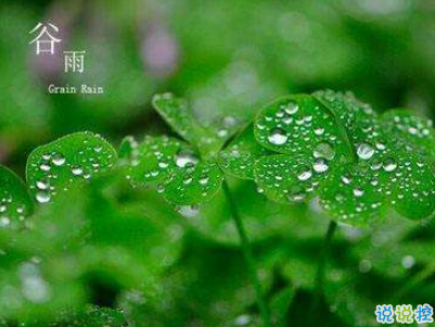 2019谷雨朋友圈說說配圖 谷雨節(jié)發(fā)朋友圈的說說優(yōu)美9