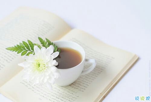 簡單唯美的一句話圖片說說有道理的那種 生活需要一點詩意1