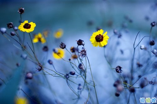 抖音好聽個性說說帶圖片 能夠吸引人的一句話說說13