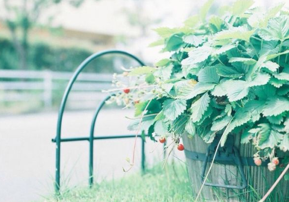 電影電視劇中會出現(xiàn)的唯美經(jīng)典的韓文說說15