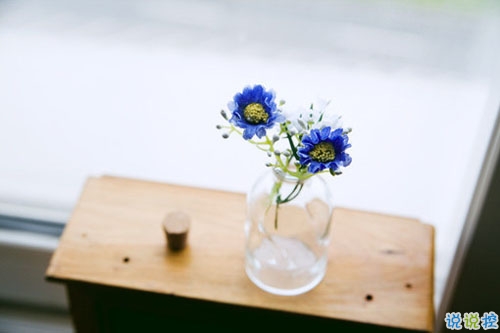 對(duì)于感情我認(rèn)輸?shù)恼f說帶圖片 心碎難過說說感到撕心裂肺5