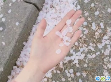 抖音上熱門說說大全 抖音最火個(gè)性說說絕對精辟2