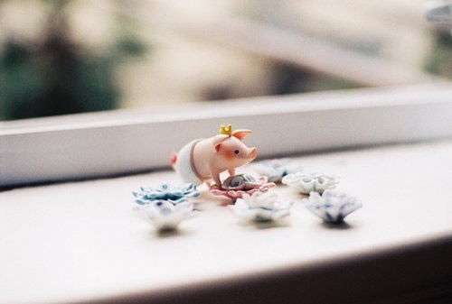 超唯美的一句話英文說說 你的一生我只借一程這一程便是余生7