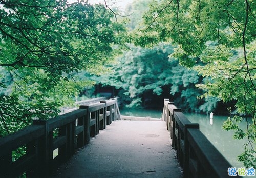 學(xué)會(huì)堅(jiān)強(qiáng)堅(jiān)持自己的夢(mèng)想的個(gè)性說說帶圖片 要堅(jiān)強(qiáng)走下去的說說發(fā)朋友圈14