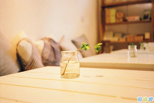 關(guān)于生活的文字控唯美英文說(shuō)說(shuō)帶圖片 很經(jīng)典現(xiàn)實(shí)的英文說(shuō)說(shuō)大全14