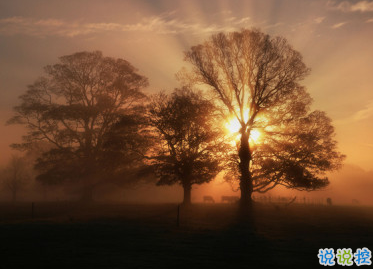 今天心情很好的微信說說 心情好發(fā)朋友圈的說說大全1