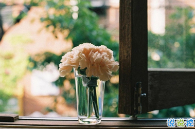 早安說說唯美陽光帶圖片 早安問候語大全簡短溫暖13