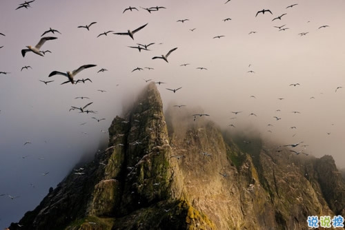 2019干凈唯美的說說帶圖片 最優(yōu)美好聽的朋友圈唯美說說8