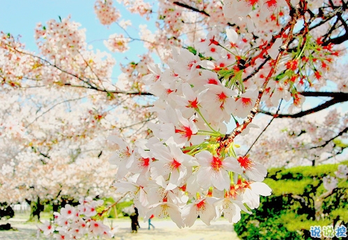 一句話(huà)描述90后的生活和心理狀態(tài) 90后對(duì)生活無(wú)奈的心情說(shuō)說(shuō)1