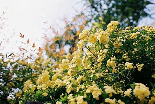 關(guān)于成長人生和愛情的美到讓人心碎的說說帶圖片2