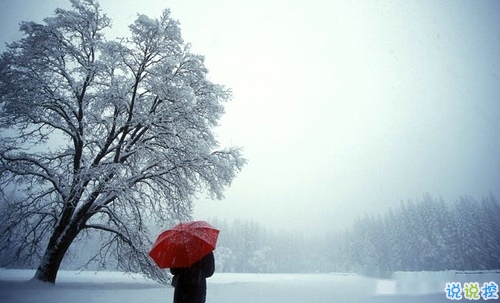 2019微信朋友圈個性說說配圖 手機(jī)有電錢包有錢比什么都好11