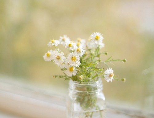 時(shí)間告訴我們的一些經(jīng)典哲理句子 正能量的句子經(jīng)典語句1