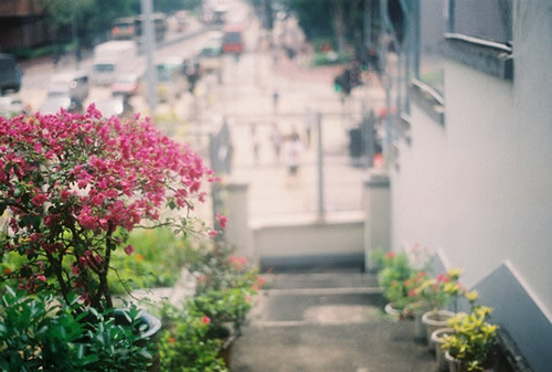 關(guān)于生活的有點傷感但很現(xiàn)實的圖片說說 哭也不會改變什么這個世界從來不會對任何人溫柔14