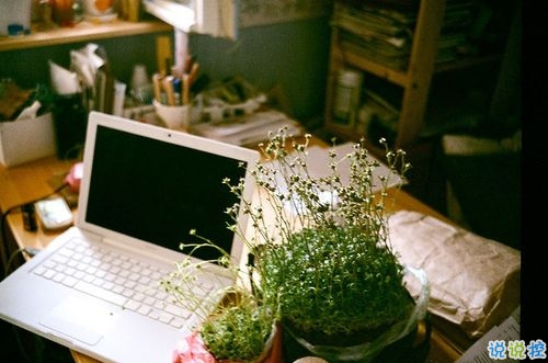 只想說(shuō)給你聽(tīng)的小情話帶圖片 你笑時(shí)雷聲溫柔暴雨無(wú)聲5