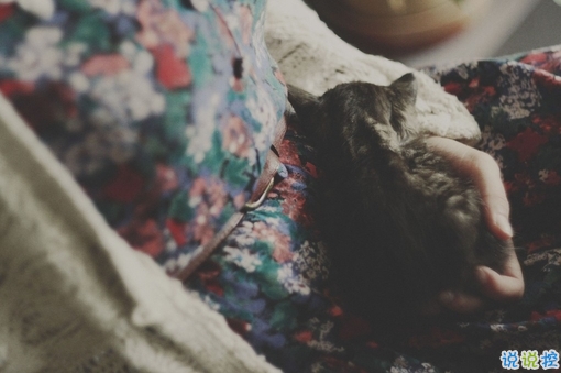 唯美祝愿給閨蜜給自己的圖片句子 愿你三冬暖愿你春不寒12