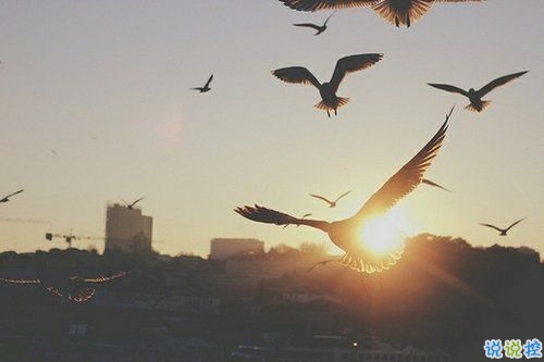 勵(lì)志積極的朋友圈說說帶圖片 送給那些迷茫的90后00后11