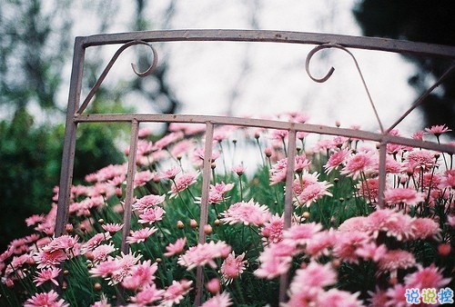 比較有詩意的愛情說說帶點傷感 傷感句子合集能走入女孩子內(nèi)心1