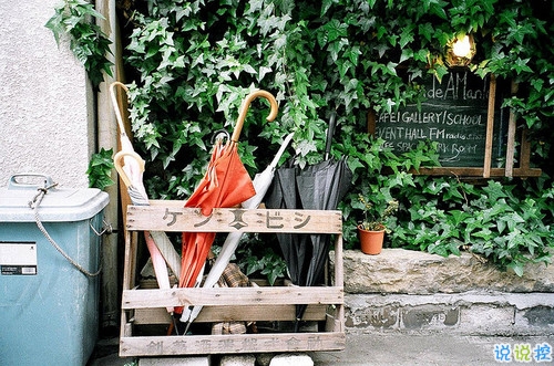 對(duì)愛一往情深的經(jīng)典說(shuō)說(shuō)帶圖片 文藝愛情小短句表達(dá)愛意14