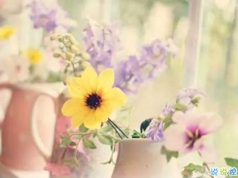 生活很苦很累的個(gè)性說說配圖 一個(gè)人撐得好辛苦經(jīng)典說說帶圖片6