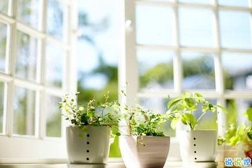 一個(gè)人被愛(ài)情傷透了的說(shuō)說(shuō) 被感情傷害的說(shuō)說(shuō)心情短語(yǔ)2