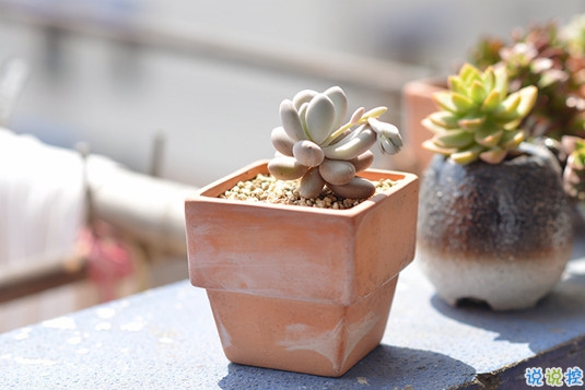 抖音比水還干凈的句子唯美又文藝 遺憾的是從沒被堅定的選擇過1