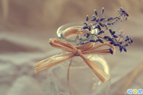 2018十一月你好說說大全唯美好聽帶圖片 十一月你好早安說說大全9