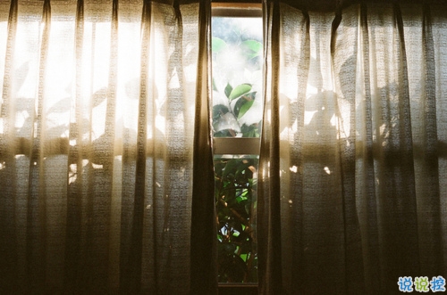 2019元宵節(jié)情話說說溫暖打動(dòng)人 比較適合表白的句子帶圖片2