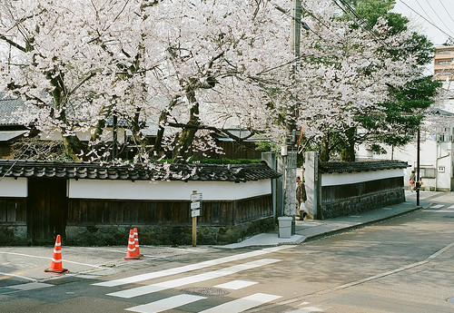 關(guān)于人生很現(xiàn)實的哲理說說帶圖片13