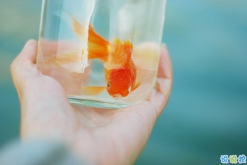 越看越想哭的專屬傷感說說精選帶圖片 傷了累了倦了不愛了的男生說說2