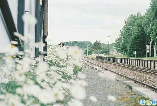 2019植樹節(jié)朋友圈心情說說 312植樹節(jié)說說簡短好聽的2