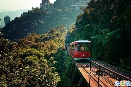 感悟生活的早安心情說(shuō)說(shuō) 陽(yáng)光這么好別辜負(fù)了今天10