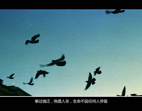 超傷感難過悲傷的愛情說說 你是我枯水年紀里的一場雨6