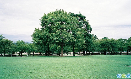 精辟犀利的愛情說說大全帶圖片 這些描寫愛情的句子太絕了11