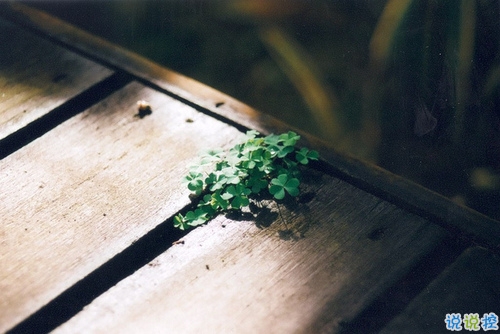 寫給自己的霸氣一段話個(gè)性說說 致自己的霸氣超拽勵(lì)志個(gè)性說說1