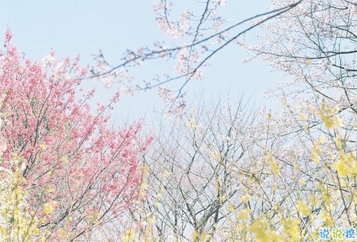 2019最新經(jīng)典說(shuō)說(shuō)給人希望 激勵(lì)人心的經(jīng)典說(shuō)說(shuō)帶圖片9