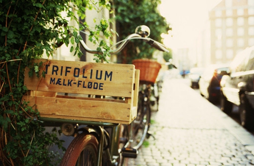 90后關(guān)于人生現(xiàn)實(shí)的很有哲理道理的精辟說說5