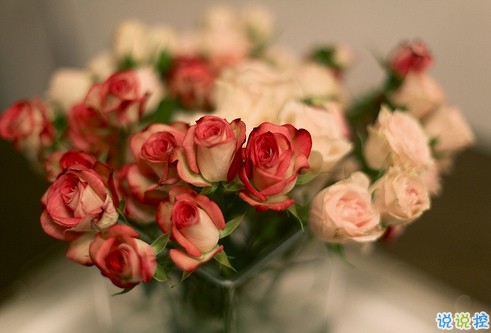 朋友圈個(gè)性說(shuō)說(shuō)2019最火爆的帶圖片 對(duì)我好的人請(qǐng)放心不會(huì)把你弄丟的3